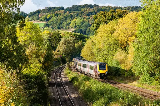 Train driving through trees