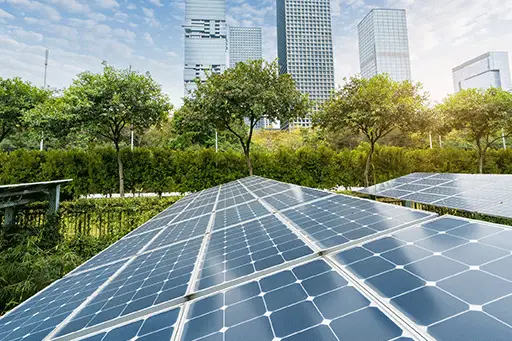 Solar panels in green area with office blocks in background